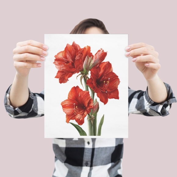 Watercolor Red Amaryllis Flower Bouquet Wall Art Print Poster, Unframed - Picture 4 of 5
